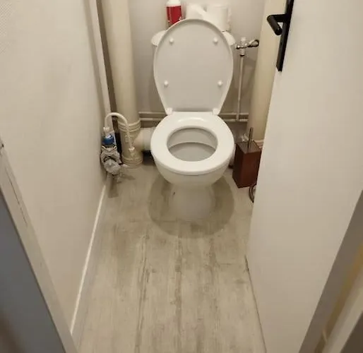 Courbaril A * نانت